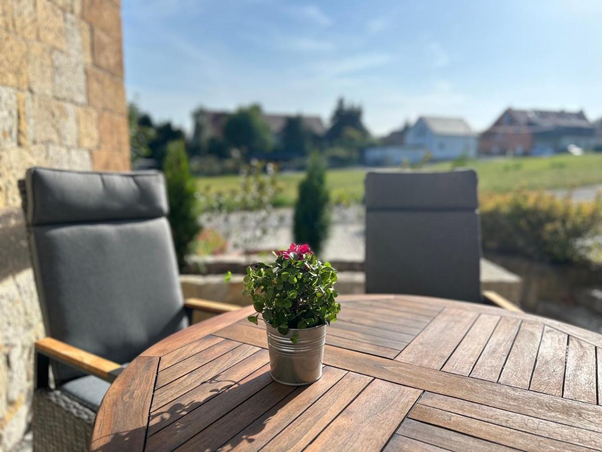 Schlosspark Apartment I 80Qm I 3 Betten I Bei Dresden Heidenau  Eksteriør bilde